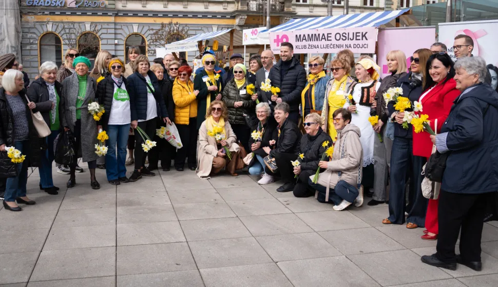 Osijek, 21. 3. 2026., Dan narcisa dan narcisa; narcisi; zdravlje; rak dojke; prevencija; svijest