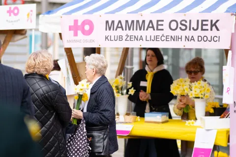 Osijek, 21. 3. 2026., Dan narcisa dan narcisa; narcisi; zdravlje; rak dojke; prevencija; svijest
