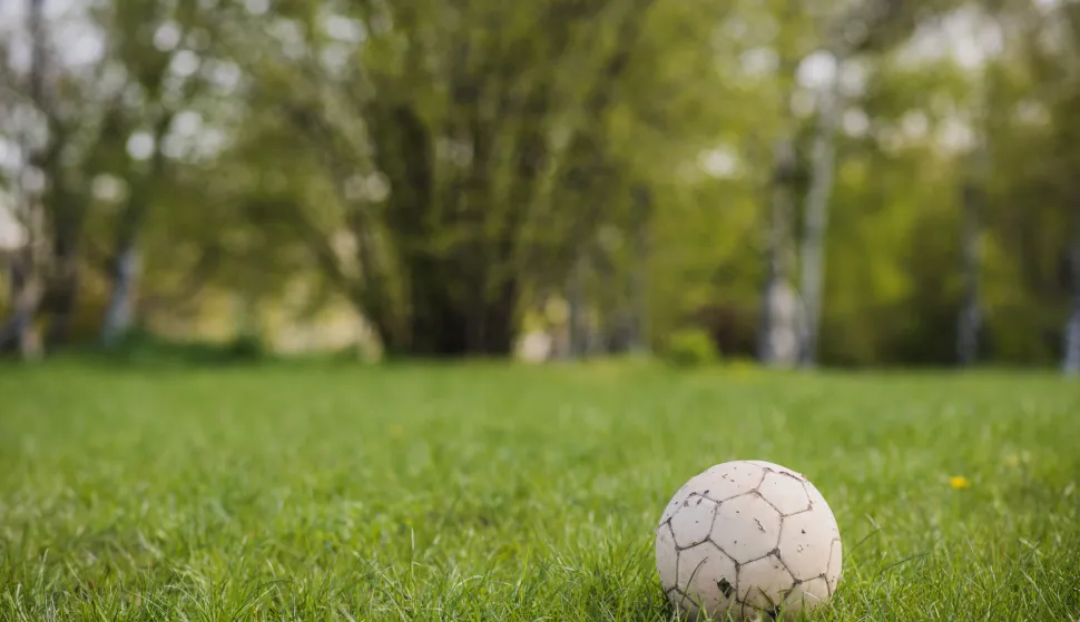 nogomet lopta travnjak rekreacija hobi sport priroda ilustracija freepik