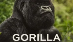 A Gorilla Story: Told by David Attenborough