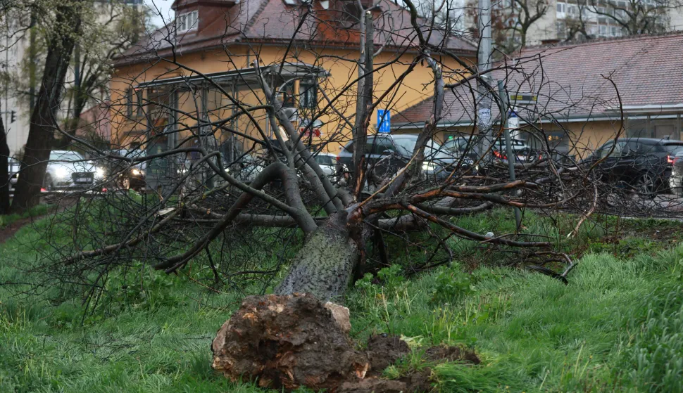 Zagreb, 26.03.2026. - Posljedice nevremena na Selskoj cesti u Zagrebu. Na fotografiji sru&scaron;eno stablo. foto HINA/ Lana SLIVAR DOMINIĆ/ ml