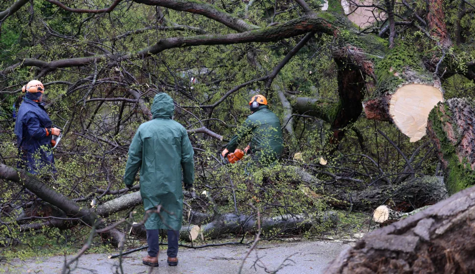 Zagreb, 27.3.2026.- Posljedice nevremena koje je u ?etvrtak pogodilo Zagreb. Na slici uklanjanje sru?enih stabala. foto HINA/ Damir SEN?AR/ ua