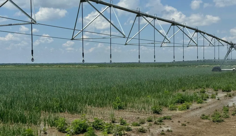 Navodnjavanjefoto: VSŽ