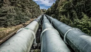 MAGAZIN PEXELSPHOTO BY Wolfgang Weiser