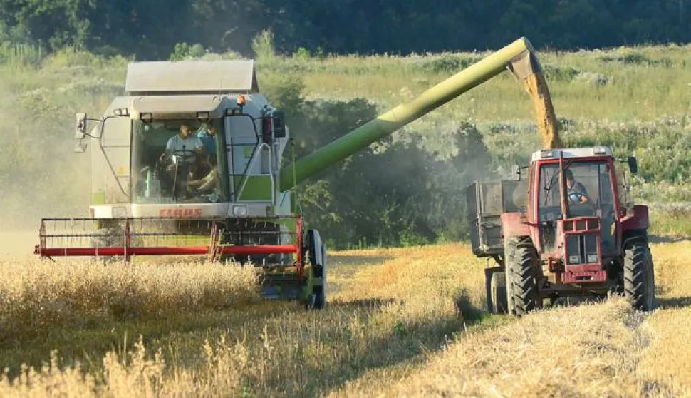 05.07.2016., Oprisavci - Na slavonskim poljima u tijeku je zetva psenice. Photo: Ivica Galovic/ PIXSELL------2 stupca colornovosti