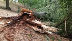 ĐakovoOlujno nevrijeme ru&scaron;ilo tabla u Velikom parku7. srpnja 2025.