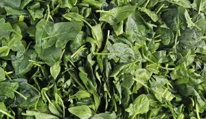 Zeleni četvrtak na glavnoj tržniciilustracija