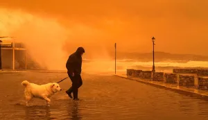 A locql resident walks on the port of Ierapetra during a dust storm on the Greek island of Crete on April 1, 2026. (Photo by Eleftherios Elis/AFP)