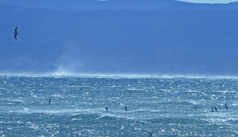 Split, 3.01.2019. - Jaka bura stvara probleme u pomorskom prometu.                        foto HINA/ Mario STRMOTIĆ/ ms