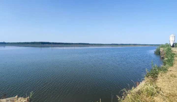 RIBNJACI SLAVONIJE DAJU VRHUNSKU RIBUSNIIMIO: VLADIMIR GRGURIĆ