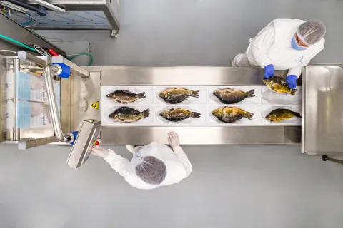 PRERADA RIBESNIIMIO: PP ORAHOVICA PROMO