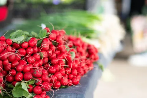 Osijek, 2. 4. 2026., TržnicaTržnica; ponuda; kupovina; voće; povrće; kupci; potro&scaron;ači; namirnice; nabavka; cijene; biljke