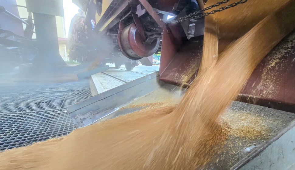 Podravka je ponovo započela sa zaprimanjem isporuka p&scaron;enice željezničkim putem.Vi&scaron;e o revitalizaciji industrijskog kolosijeka u Mlinu &ndash; Tvornici bra&scaron;na i krupice u Koprivnici pronađite u prilogu.