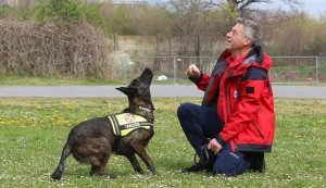 Osijek 26. 03. 2026, Hrvoje Domazetović, član HGSS-a Osijek i njegova mlada nizozemska ovčarka Luna, potražni pas.snimio GOJKO MITIĆ