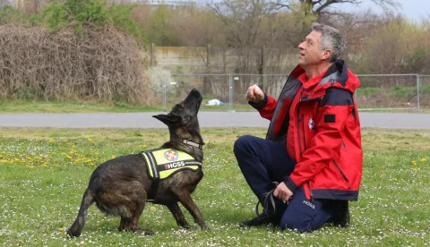Osijek 26. 03. 2026, Hrvoje Domazetović, član HGSS-a Osijek i njegova mlada nizozemska ovčarka Luna, potražni pas.snimio GOJKO MITIĆ