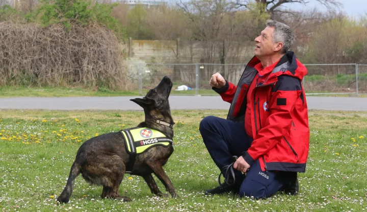 Osijek 26. 03. 2026, Hrvoje Domazetović, član HGSS-a Osijek i njegova mlada nizozemska ovčarka Luna, potražni pas.snimio GOJKO MITIĆ