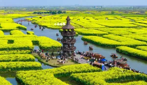 People view rapeseed flowers in a scenic area in Xinghua, in China?s eastern Jiangsu province on April 2, 2026. (Photo by CN-STR/AFP)/China OUT