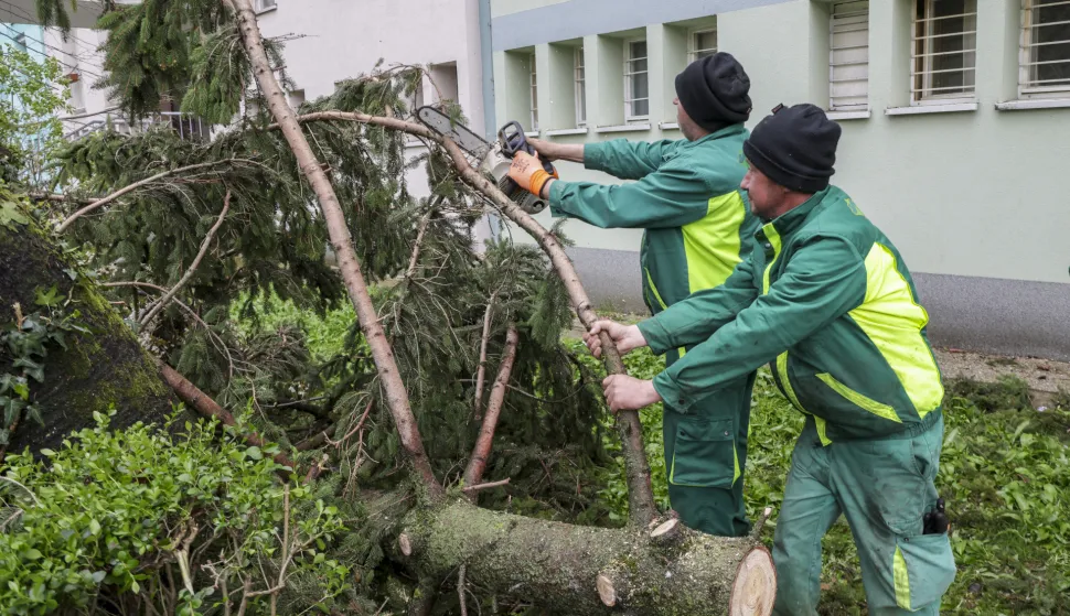 Zagreb, 27.03.2026 - Djelatnici zrinjevca uklanjaju drveće koje je palo uslijed jakog vjetra u naselju Voltino.foto HINA/ Admir BULJUBA&Scaron;IĆ/ abu