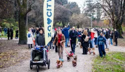 06.12.2025., Zagreb: U parku Ribnjak odrzan sajam jazavcara Photo: Mia Slafhauzer/PIXSELL