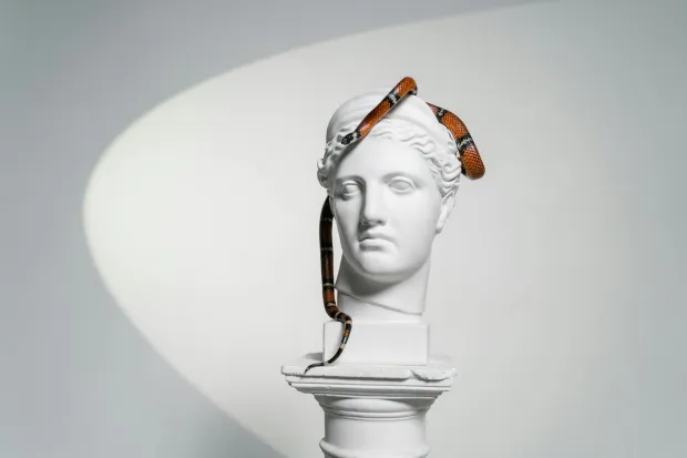 MAGAZIN PEXELSPHOTO BY MART PRODUCTION