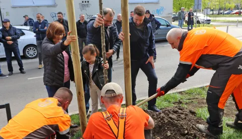 Osijek, 11. 04. 2026, Sadnja drveća u Ulici Braknka Radičevića u Doljnjem Graud, Ivan Radić, gradonačelnik grada Osijeka. Slavica Kvolik,&nbsp;.... Krunoslav Minažek i Ivan Radić.snimio GOJKO MITIĆ