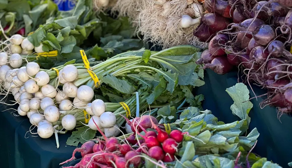 POVRĆE, KRUMPIR ILI BATAT