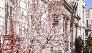 U srijedu se otvaraju tri javna natječaja za dobivanje državnih potpora: Za najmoprimce, ugradnju dizala i obnovu pročelja