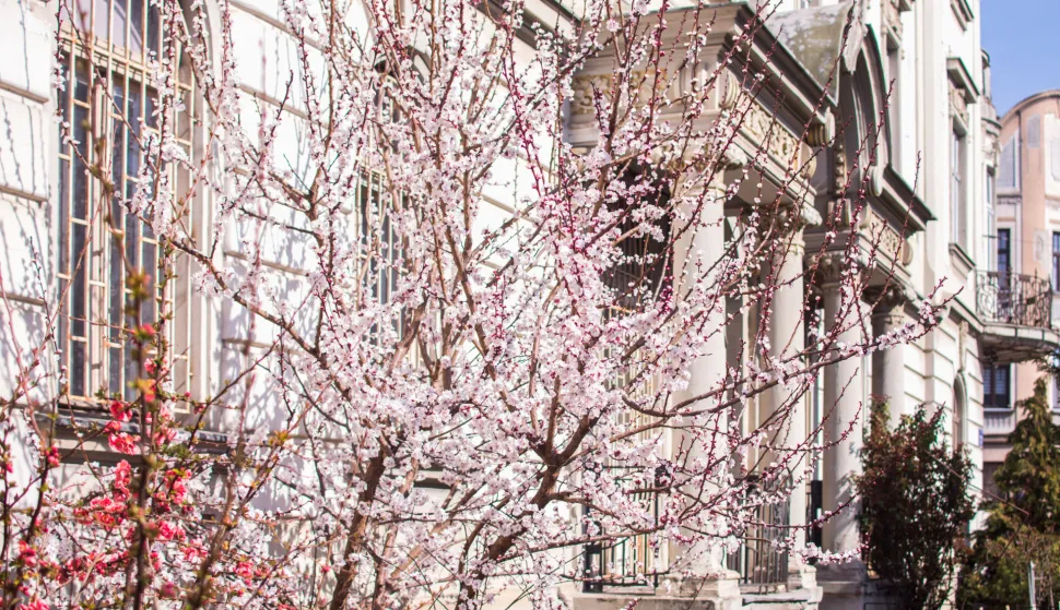 U srijedu se otvaraju tri javna natječaja za dobivanje državnih potpora: Za najmoprimce, ugradnju dizala i obnovu pročelja