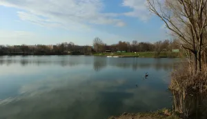 Osijek 11. 03. 2026, JUg 2, Jućno jezero, popularno zvano "Baje". lustracija, slbodnjak-snimio GOJKO MITIĆ