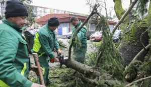 Zagreb, 27.03.2026 - Djelatnici zrinjevca uklanjaju drveće koje je palo uslijed jakog vjetra u naselju Voltino.foto HINA/ Admir BULJUBA&Scaron;IĆ/ abu