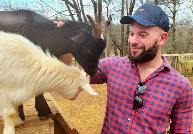 Hire Goats