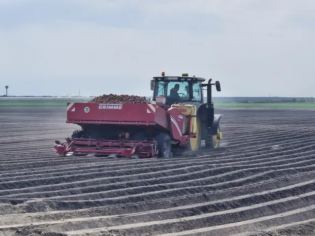 U tijeku je proljetna sjetva na oranicama Podravke Agri, koja se odvija u optimalnim uvjetima zahvaljujući dovoljnim količinama vlage i povoljnim vremenskim prilikama, izvijestili su u petak iz te poljoprivredne kompanije, a među ostalim su naveli i da planiraju veću proizvodnju krumpira nego lani zbog potreba domaćeg trži&scaron;ta. 