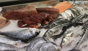 Osijek, 16. 12. 2025, Marigos ribarnica na zatvorenom djelu osječke tržnice, ima vrlo bogatu ponudu ribom i morskim plodovima za Blagdane. Ribarnica, riba, ponuda, cijene, ilustracija.snimio GOJKO 