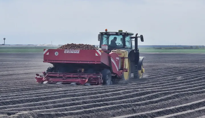 Podravka Agri - sadnja krumpira