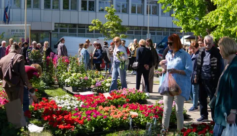Osijek, 18. 4. 2026., Festival cvijećacvijeće; biljke; festival; sadnja; posjetitelji; ponuda