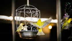 MAGAZIN PEXELSPHOTO BY Magda Ehlers