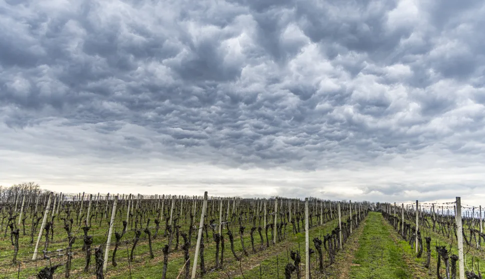 02.04.2025., Beli Manastir - Oblacno poslijepodne u Baranji. Photo: Borna Jaksic/PIXSELL