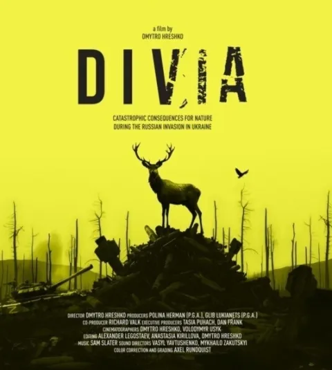 film Divia