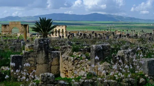 MAGAZIN MAROKO DARIO MAJETIC