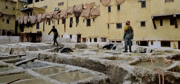 MAGAZIN MAROKO DARIO MAJETIC