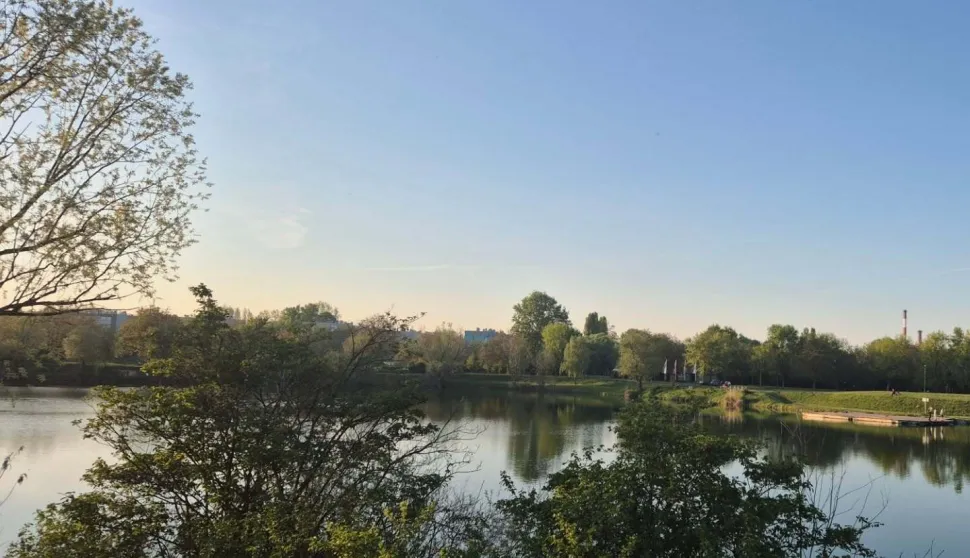 Bajer na Jugu 2 travanj 2026.Snimila: Ivana Rab Gulja&scaron;