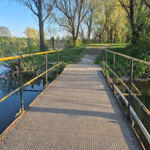 Bajer na Jugu 2 travanj 2026.Snimila: Ivana Rab Gulja&scaron;