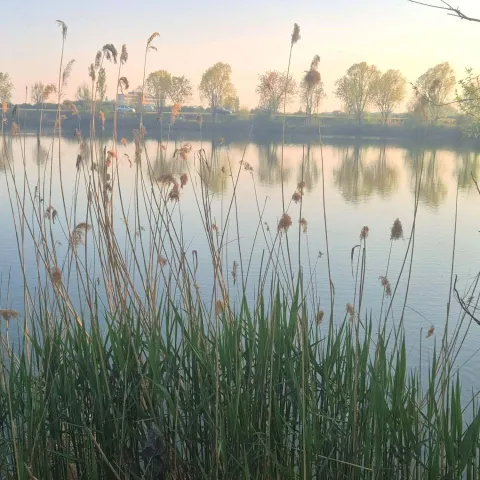 Bajer na Jugu 2 travanj 2026.Snimila: Ivana Rab Gulja&scaron;