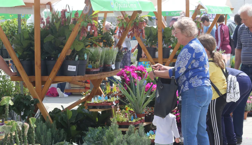 Jubilarno okupljanje ljubitelja hortikulture: Peti Proljetni festival u Čepinu