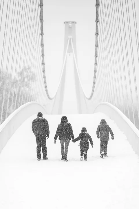 fotka "Family"