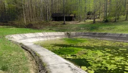 Papuk, 07. 04. 2024., kućica u &scaron;umi, &scaron;uma, kućica, kontinentalni turizam, jezero, proljeće, slobodnjak, slobodnjaciSNIMIO BRUNO JOBST