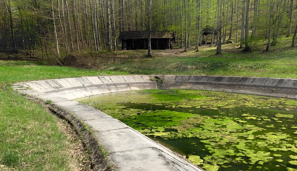 Papuk, 07. 04. 2024., kućica u &scaron;umi, &scaron;uma, kućica, kontinentalni turizam, jezero, proljeće, slobodnjak, slobodnjaciSNIMIO BRUNO JOBST