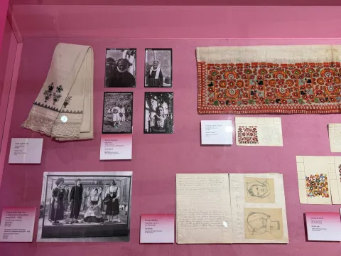 Histerija i &ldquo;Historija zaborava&rdquo; o prvim ženama u muzejskoj profesiji