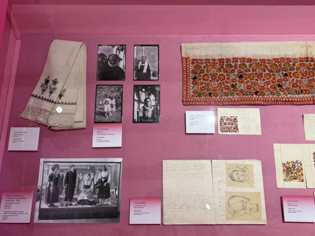 Histerija i &ldquo;Historija zaborava&rdquo; o prvim ženama u muzejskoj profesiji