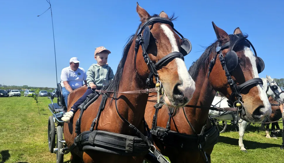 /Galerija/ Manifestacija &ldquo;Od Đurđeva do Markova&rdquo;: Blagoslov polja, konja i konjanika okupio brojne Vinkovčane